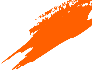 Elite Star Global Holdings Limited